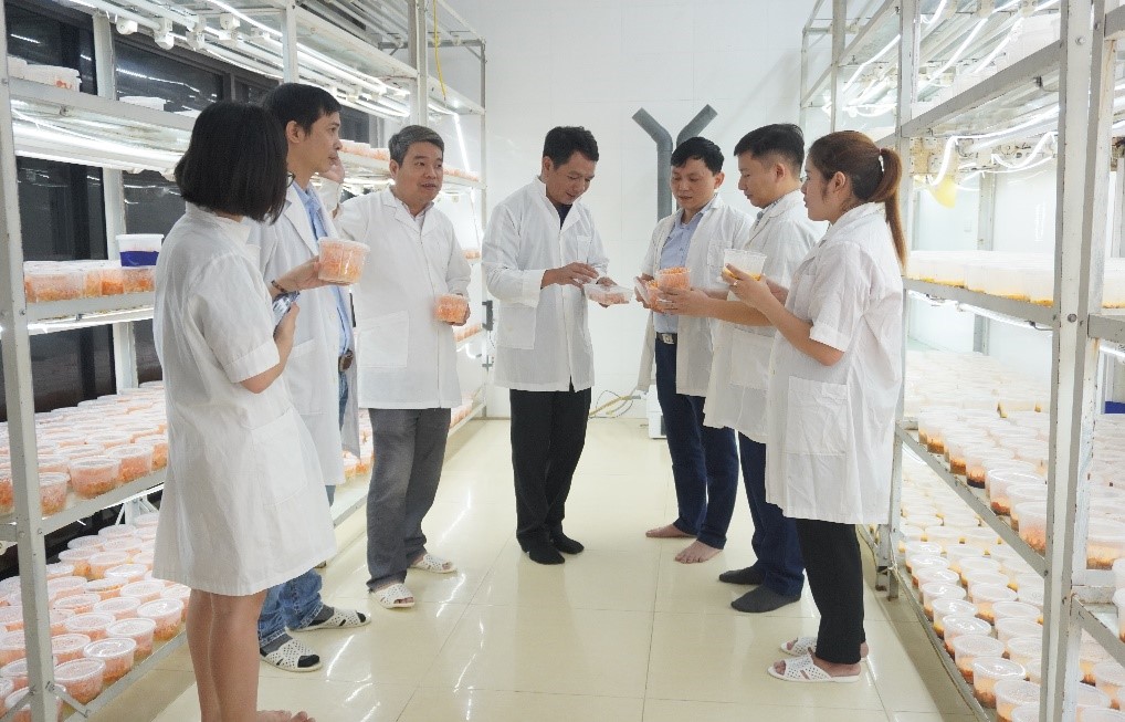 ỨNG DỤNG TIẾN BỘ KỸ THUẬT NUÔI CẤY NẤM ĐÔNG TRÙNG HẠ THẢO